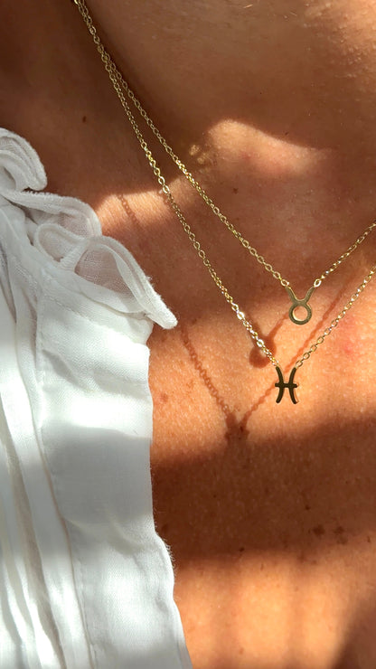 Collana segno Zodiacale ♈️♊️♏️